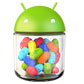 How to Enable Android Jelly Bean OTA Update on Nexus S